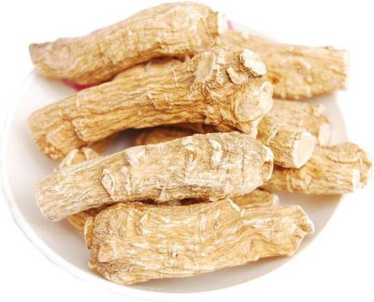泡参