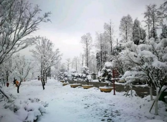 川西红枫岭