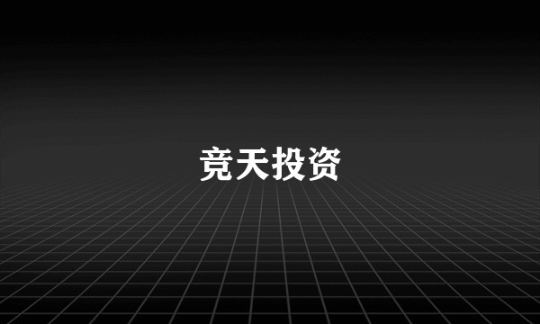 竞天投资