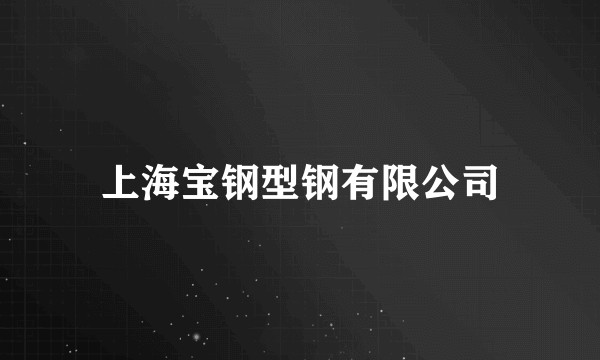 上海宝钢型钢有限公司