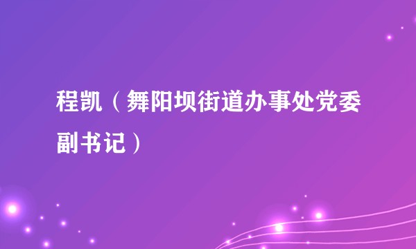 程凯（舞阳坝街道办事处党委副书记）