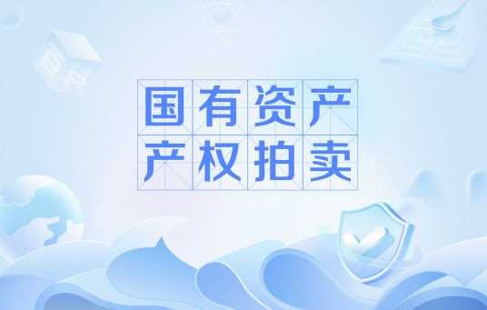 国有资产产权拍卖