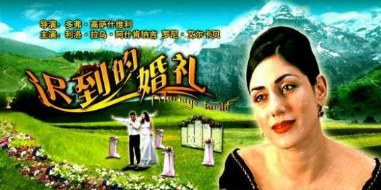 迟到的婚礼（以色列、法国2001年杜瓦·科萨史维利执导的电影）