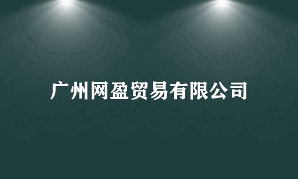 广州网盈贸易有限公司