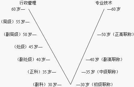 职业生涯路线