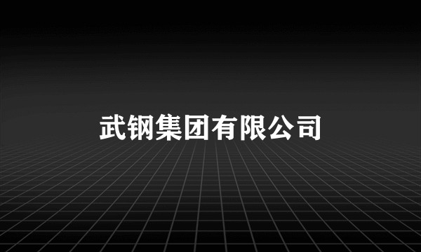 武钢集团有限公司