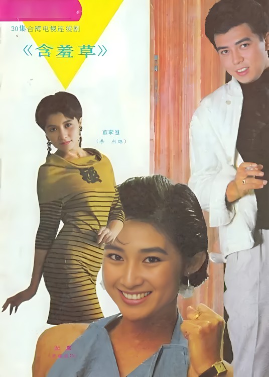 含羞草（1987年刘瑞琪、张佩华主演的台湾电视剧）
