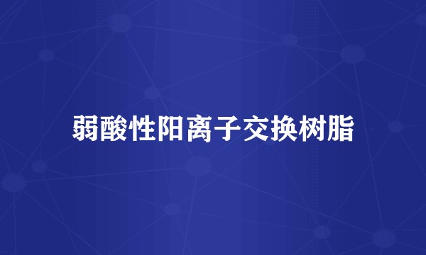 弱酸性阳离子交换树脂