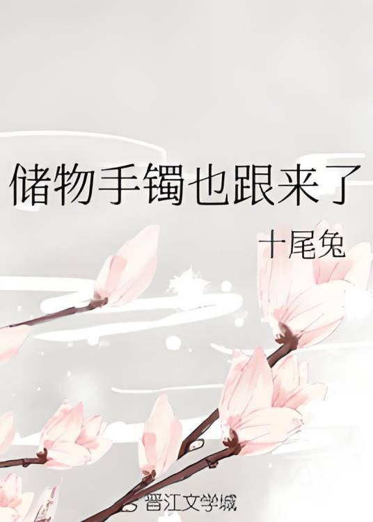 储物手镯也跟来了