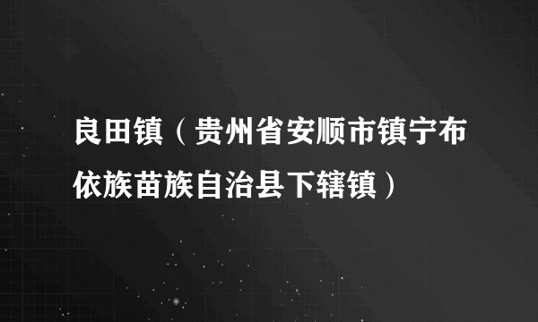 良田镇（贵州省安顺市镇宁布依族苗族自治县下辖镇）