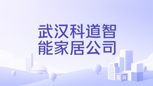 武汉科道智能家居公司