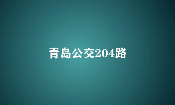 青岛公交204路
