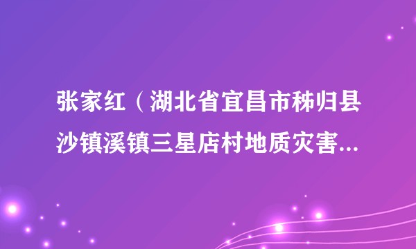 张家红（湖北省宜昌市秭归县沙镇溪镇三星店村地质灾害监测员）