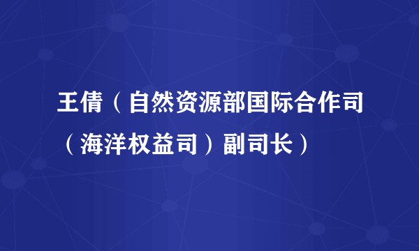 王倩（自然资源部国际合作司（海洋权益司）副司长）