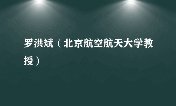 罗洪斌（北京航空航天大学教授）