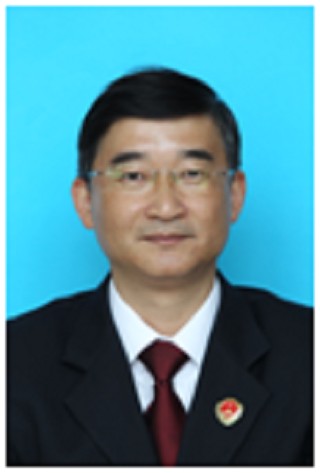 张为(上海市奉贤区人民检察院党组成员、副检察长)