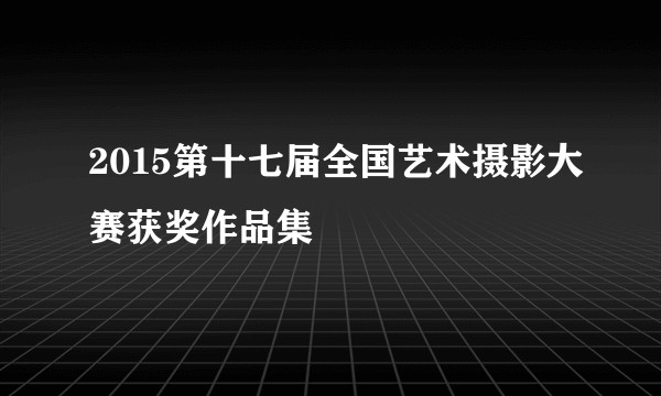 2015第十七届全国艺术摄影大赛获奖作品集
