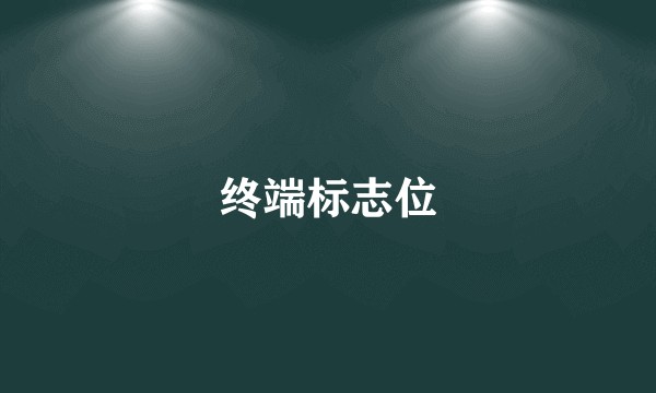 终端标志位