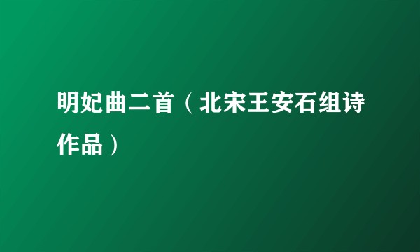 明妃曲二首（北宋王安石组诗作品）
