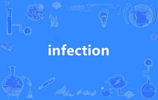 Infection（英语单词）