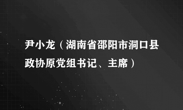 尹小龙（湖南省邵阳市洞口县政协原党组书记、主席）