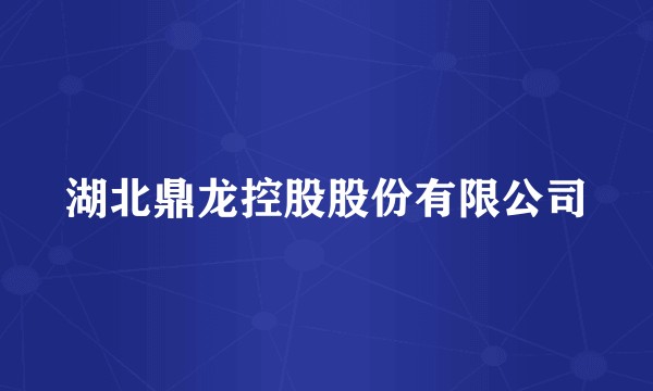 湖北鼎龙控股股份有限公司