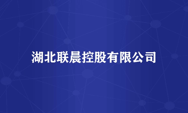 湖北联晨控股有限公司