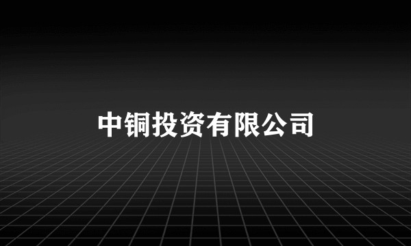 中铜投资有限公司