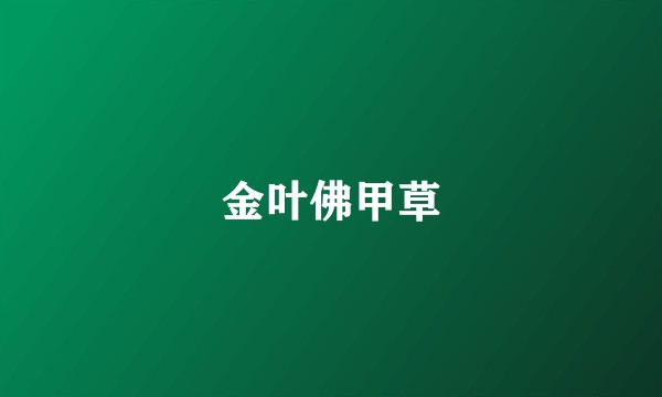 金叶佛甲草