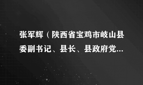 张军辉（陕西省宝鸡市岐山县委副书记、县长、县政府党组书记）
