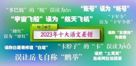 2023年十大语文差错