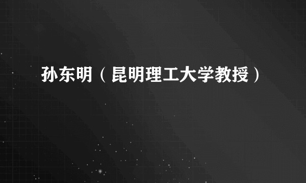 孙东明（昆明理工大学教授）