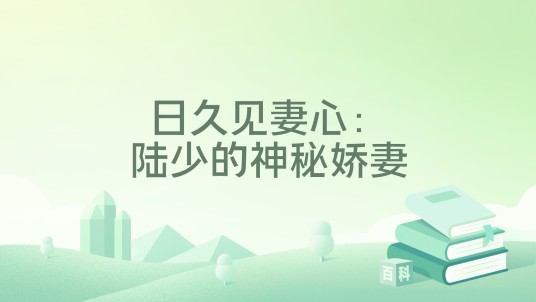 日久见妻心：陆少的神秘娇妻