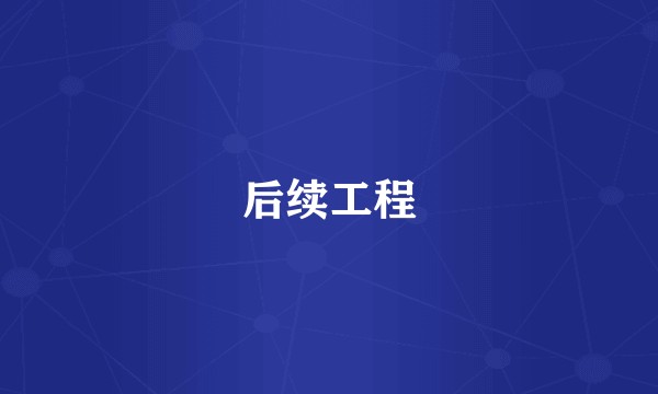 后续工程
