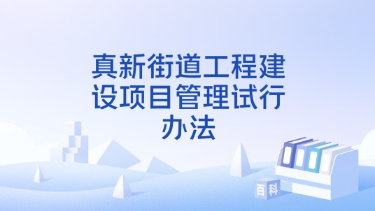 真新街道工程建设项目管理试行办法
