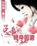 总裁的替身前妻（2013年中国言实出版社出版的图书）