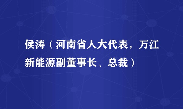 侯涛（河南省人大代表，万江新能源副董事长、总裁）