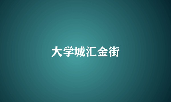 大学城汇金街