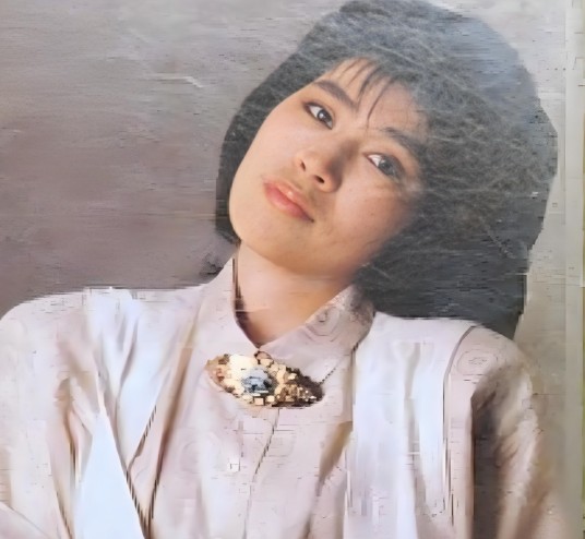 林淑娟（中国女歌手、疗伤金曲歌后）