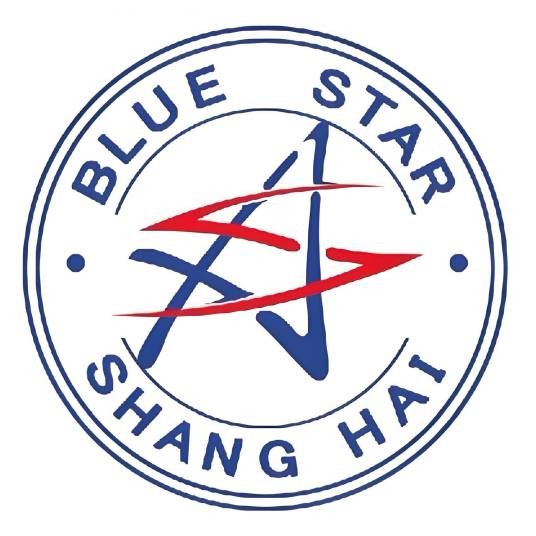 上海蓝星广告传媒有限公司
