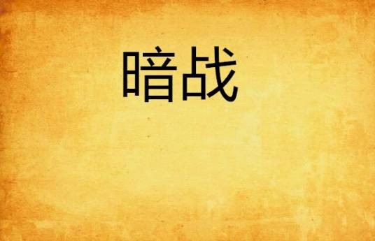 暗战（2008年朝华出版社出版的图书）