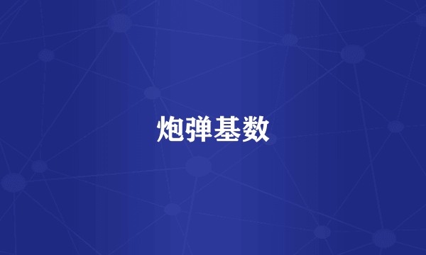 炮弹基数