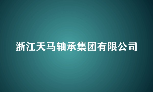浙江天马轴承集团有限公司