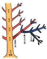 嫡长子继承制