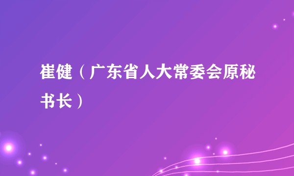 崔健（广东省人大常委会原秘书长）