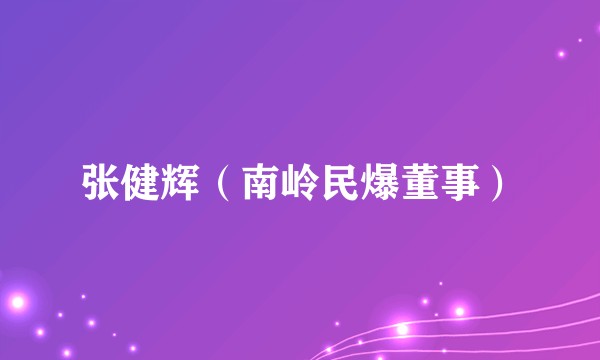 张健辉（南岭民爆董事）