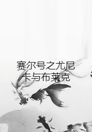 赛尔号之尤尼卡与布莱克