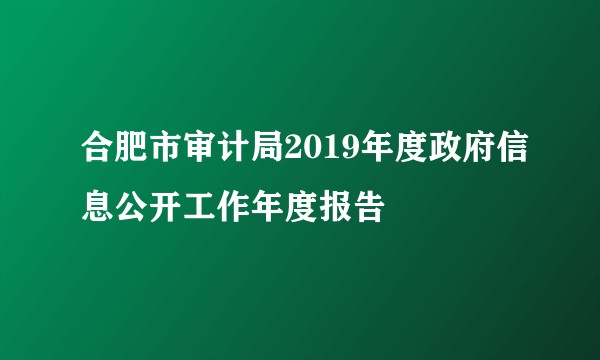 合肥市审计局2019年度政府信息公开工作年度报告