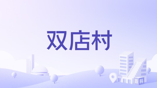 双店村（江苏省连云港市东海县双店镇双店村）