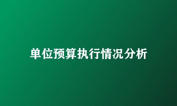 单位预算执行情况分析